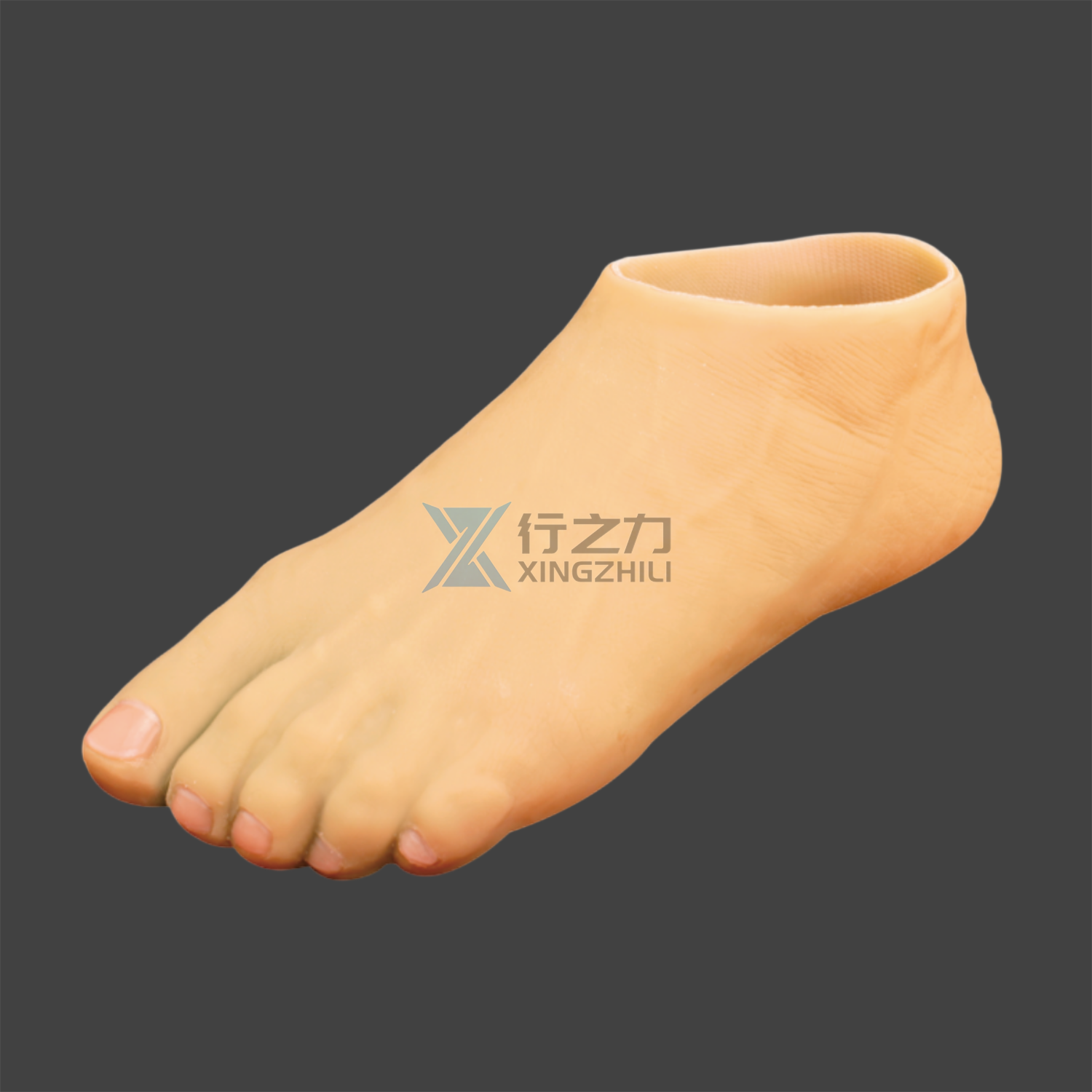 Polyurethane Foot: Why It’s the Preferred Choice for Lightweight Mobility Support