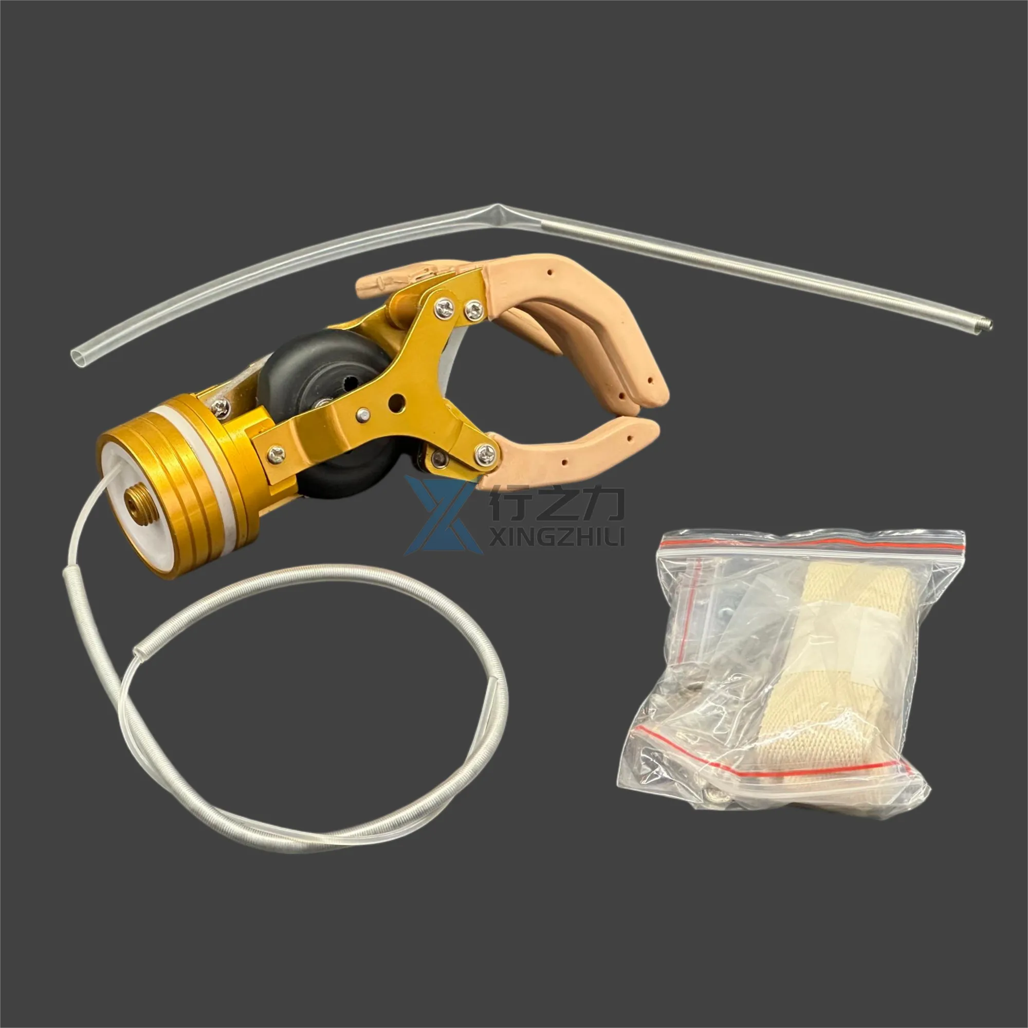 Disability Assistive Device2(91a7a891fb).webp