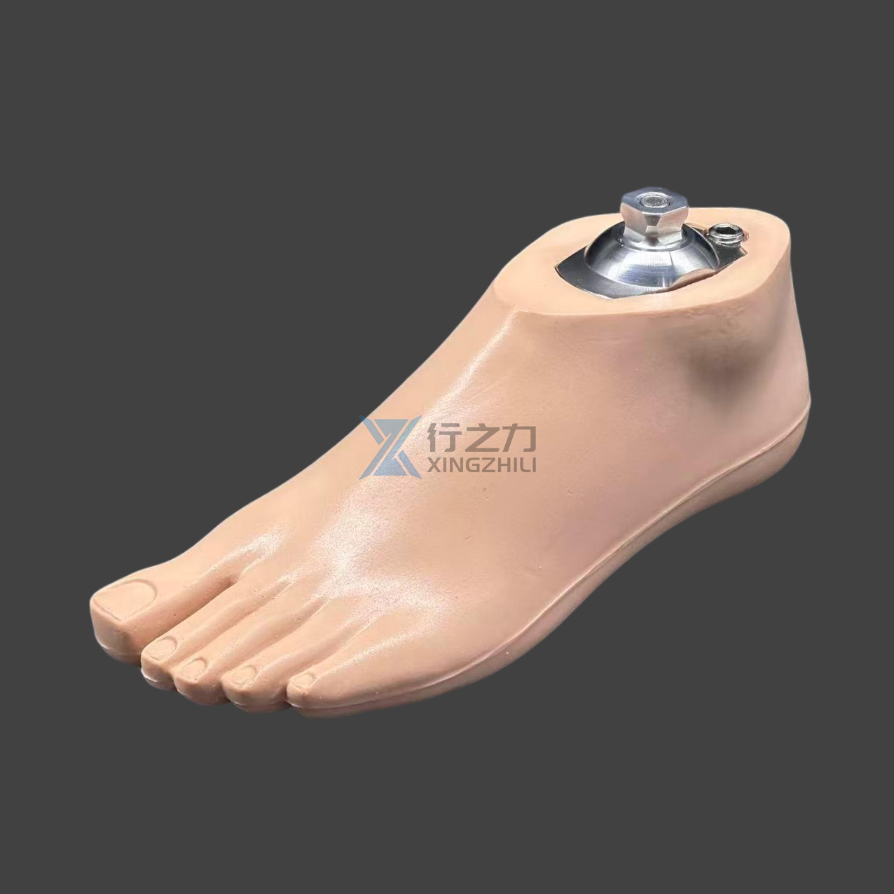 1E20 Kaki Dinamik dengan 2N02B