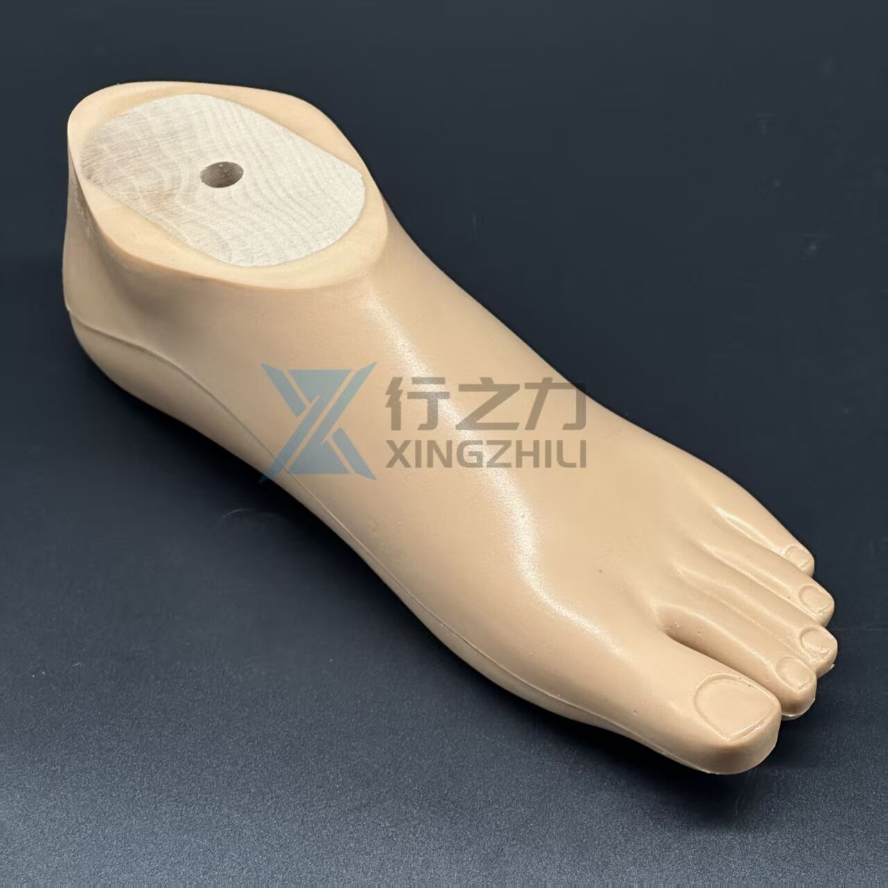 1N05-1 Sach Foot with Soft Heel (EP)