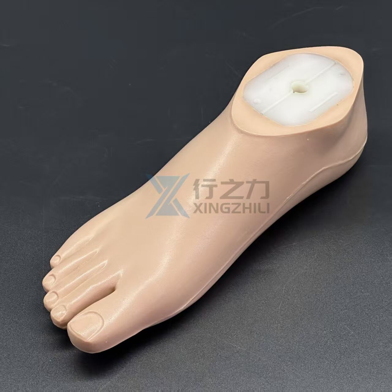 1W01 Lightweight Waterproof SACH Foot