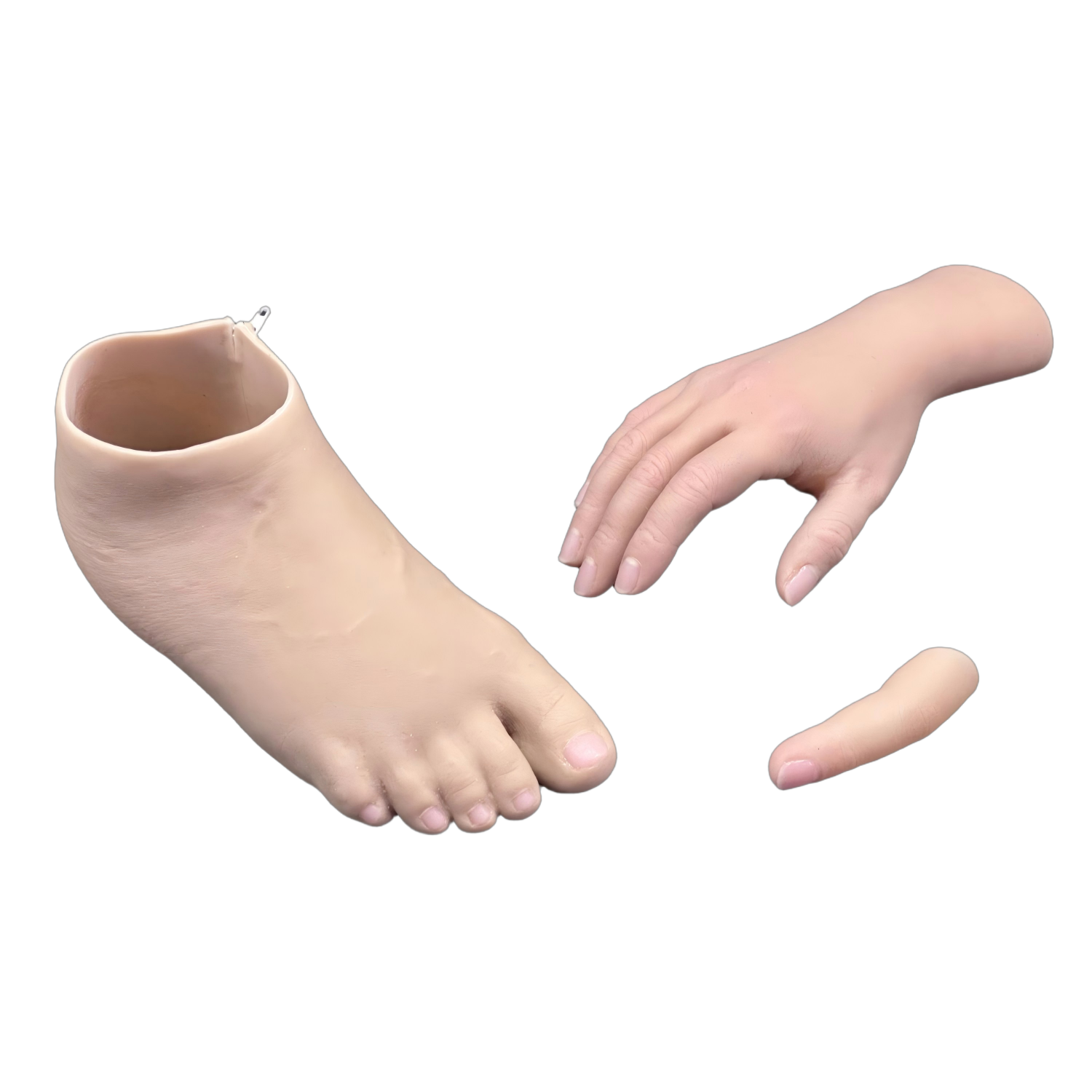 Advanced Biomechanical Integration