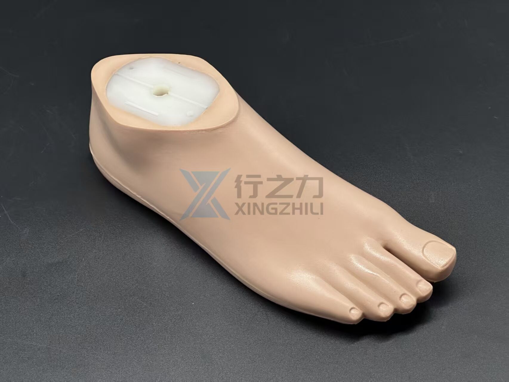 1W01 Lightweight Waterproof SACH Foot 
