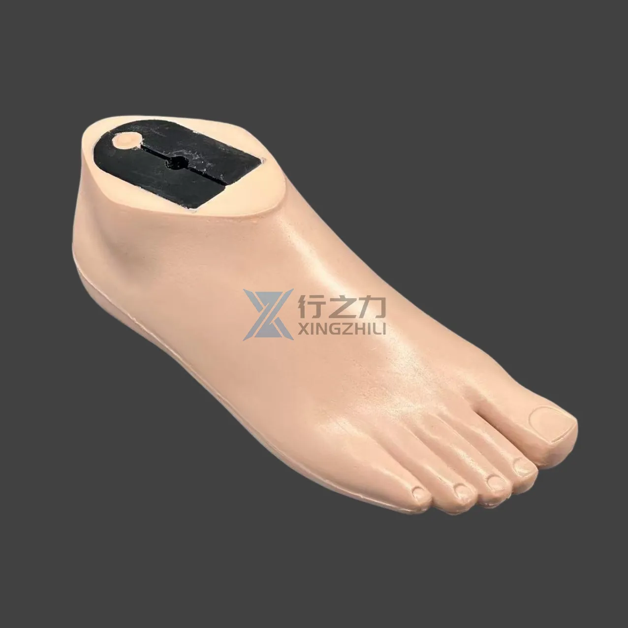 How Can a Modern Prosthesis Help Patients Regain Independence?