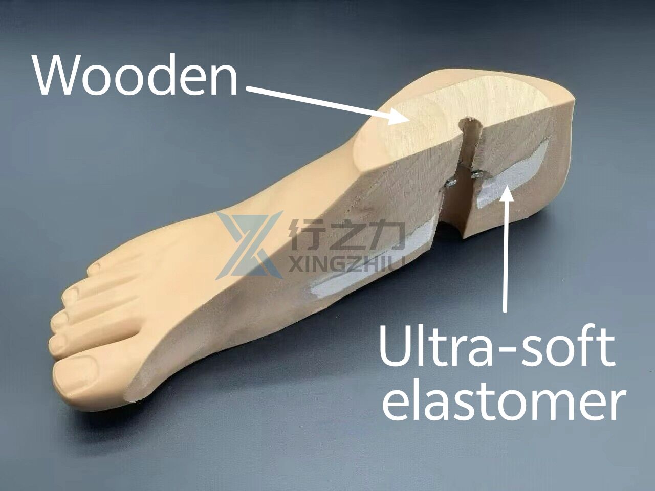 1N05-1 Sach Foot with Soft Heel (EP) factory