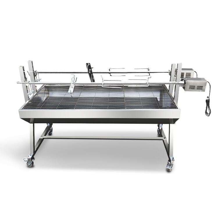 Gas vs Charcoal Barbecue Grills: Which to Buy?