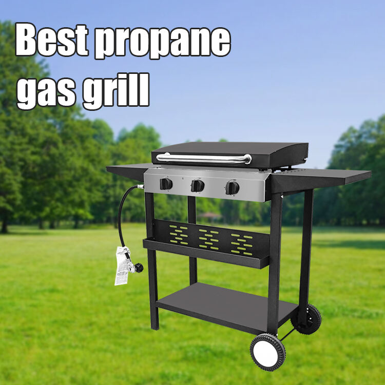 Beste Propane Gas Braai——Onnabybare Prestasie, Innovasie en Smak vir Elke Braaimeester