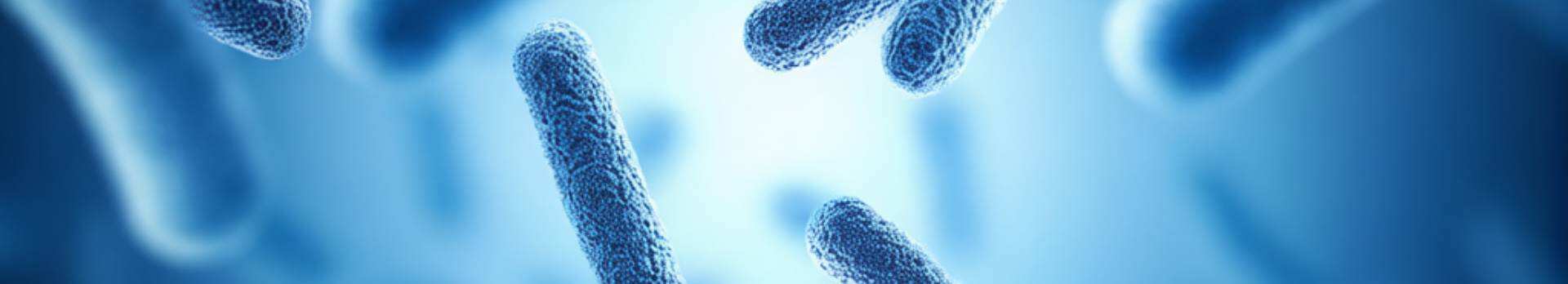 probiotic formulas113-0