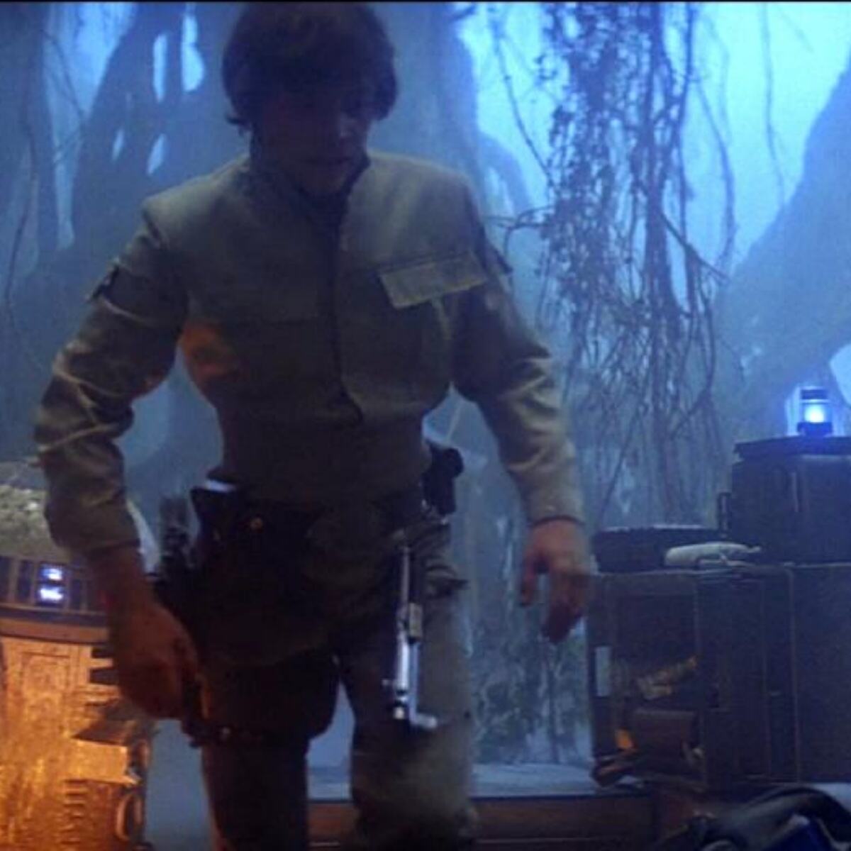 1 (2)(3b3197fcf1).jpg