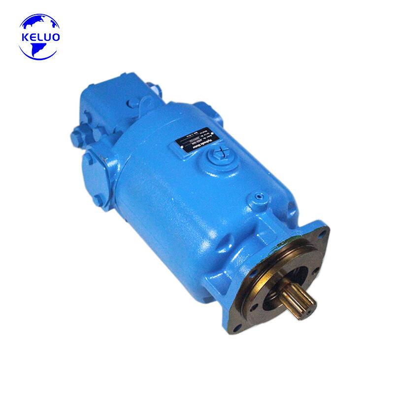 BMRS-250-H6-S-G-N1-3.jpg