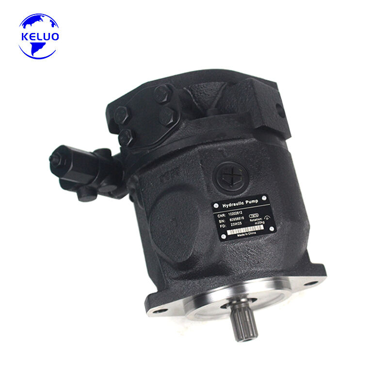 Heavy Duty Hydraulic Piston Pump Motor 10202812 for Mining Construction Hydraulic System