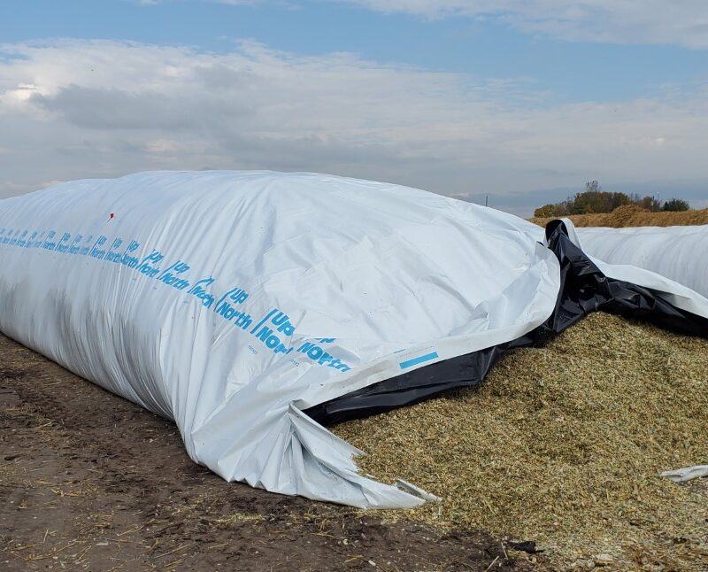 Processi di Produzione Innovativi