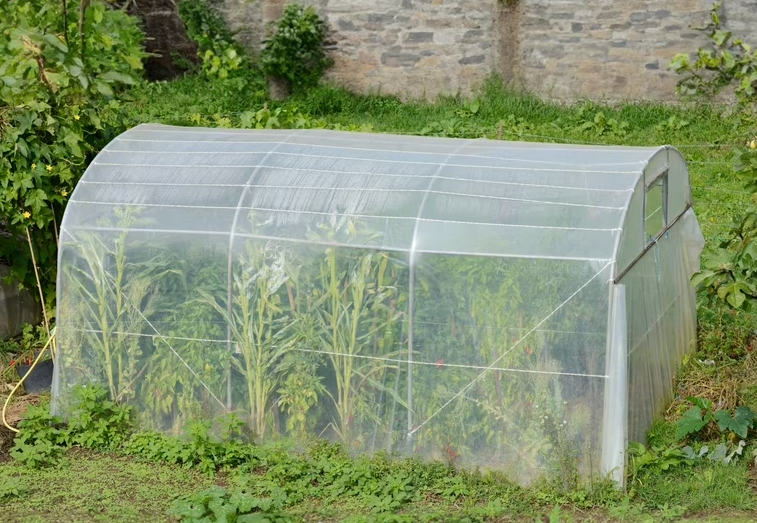 Enhance Your Greenhouse with High-Quality Transparent Plastic