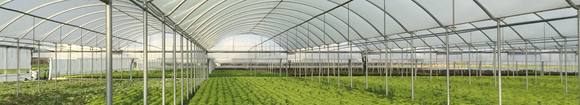sun shade sail-1