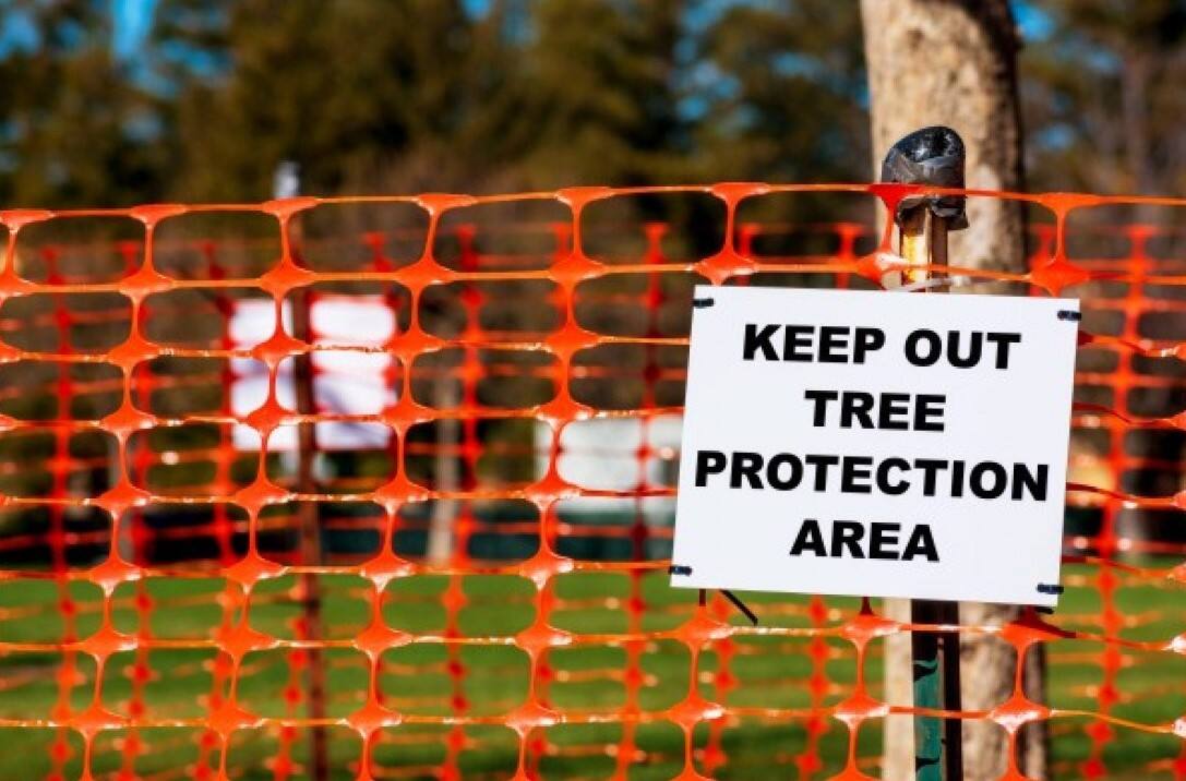 Дээр байдалд харагдах чанар