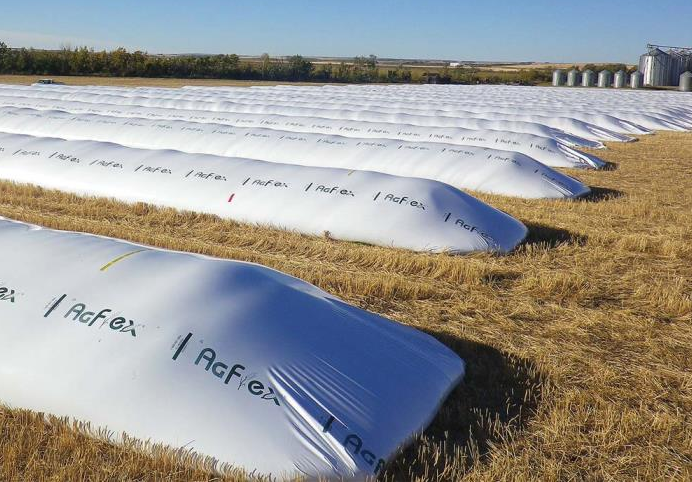 Impegno per la sostenibilità