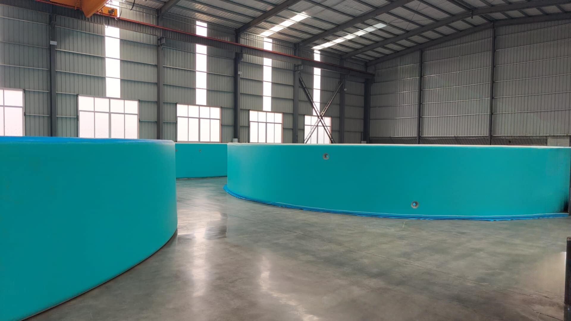 Découvrez nos piscines gonflables en PVC de qualité supérieure pour toutes les occasions