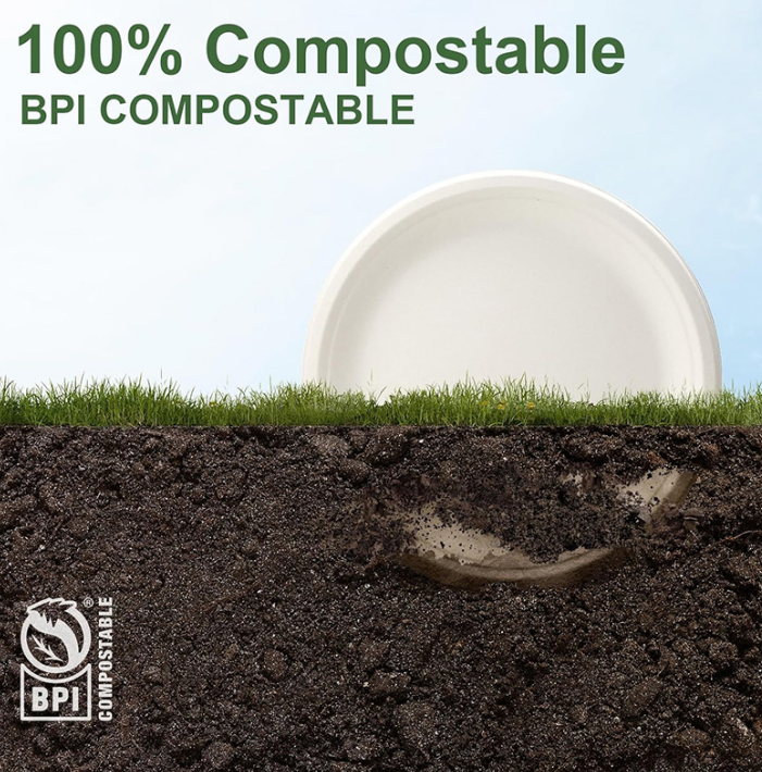 Do Biodegradable Dinnerware Meet International Environmental Standards?
