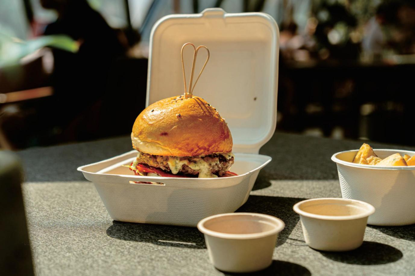What Scenarios Are Bagasse Tableware Suitable for in Catering Industry?