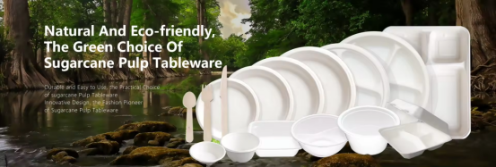 Why Your Business Should Switch to Bagasse Biodegradable Clamshells？