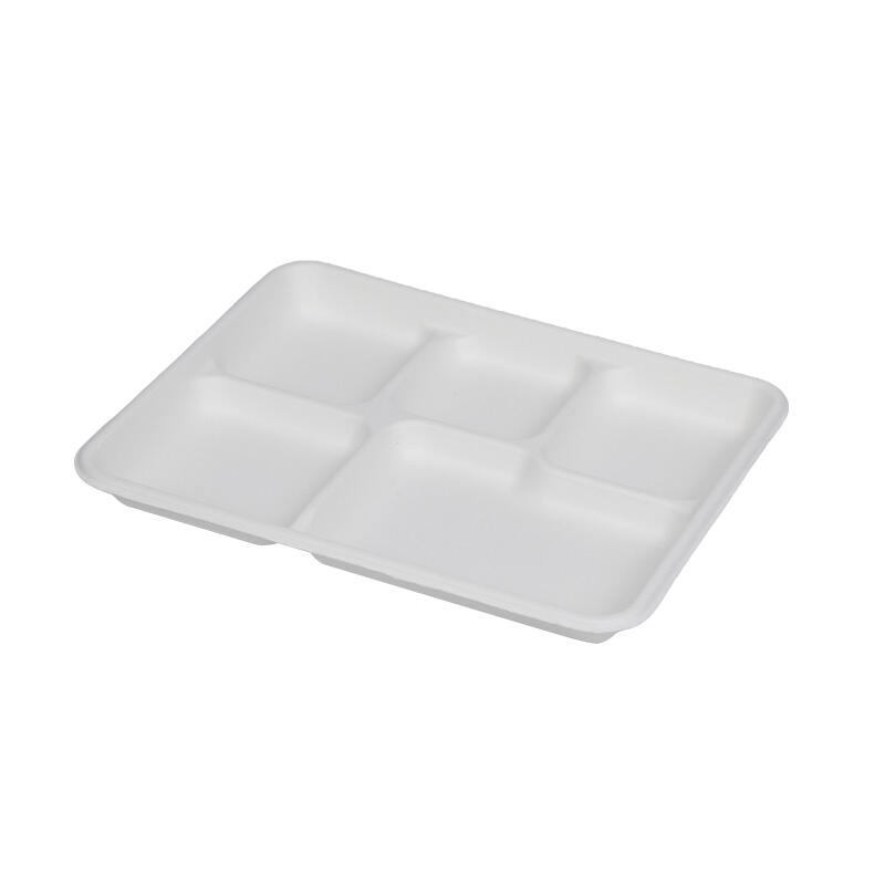 10'' x 9'' School 5-Compartment Tray