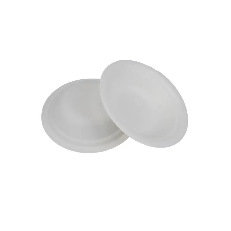 Why Choose Biodegradable Dinnerware for Your Next Event