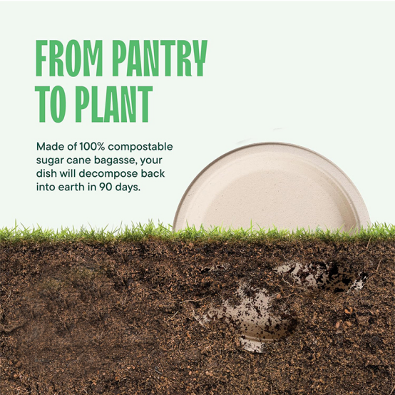Are Bagasse Biodegradable Clamshells Suitable for Fast Food?
