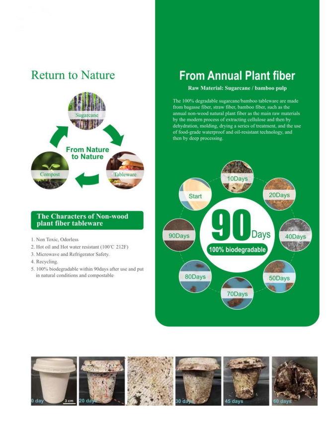 Кои еднократни чинии са компостируеми?