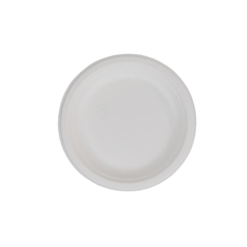 6 Plate