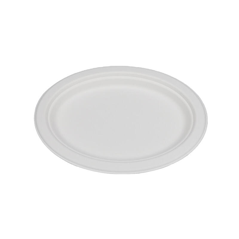 10x8 Oval Plate