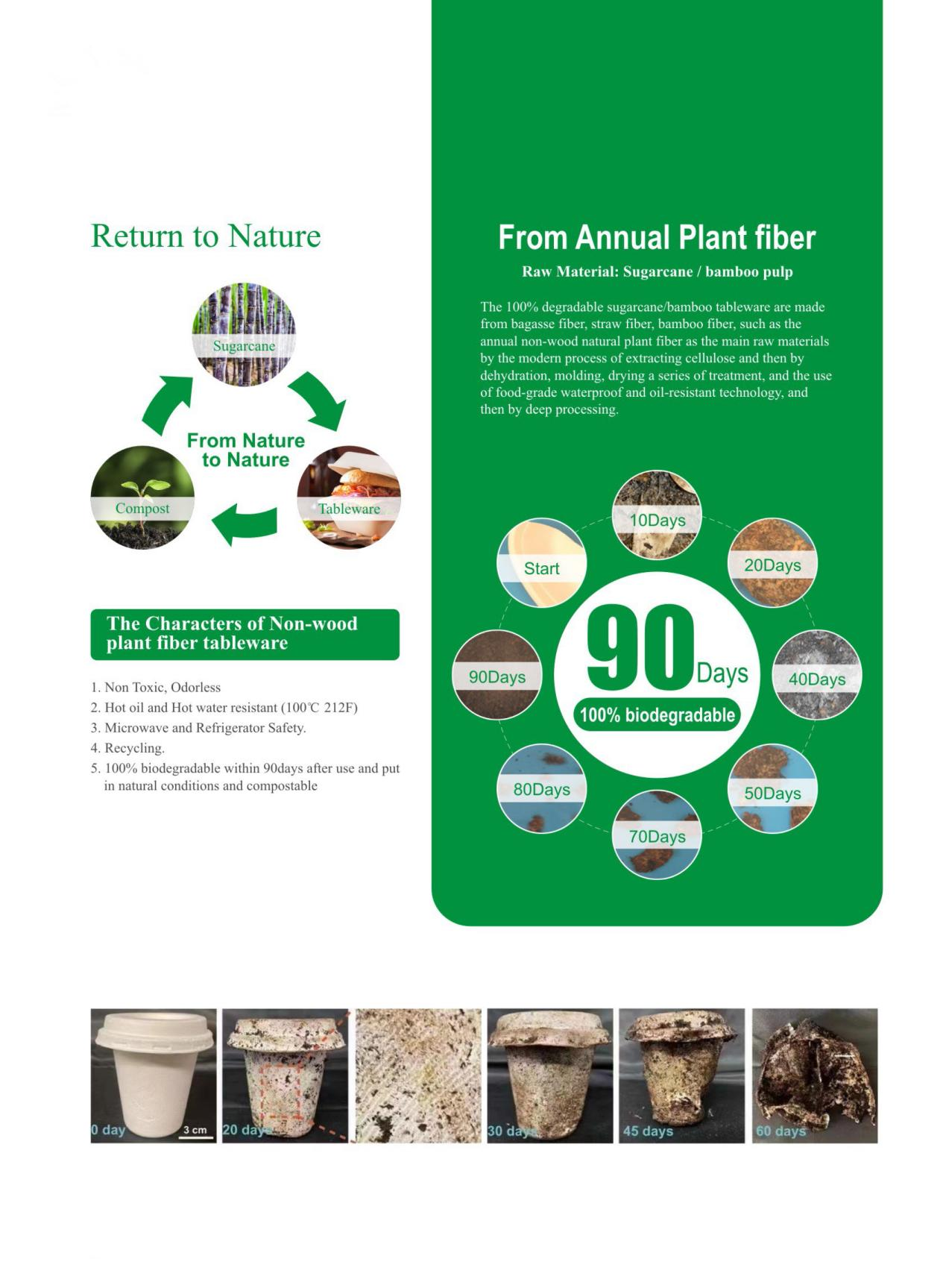 Why is disposable cutlery made from bagasse a better alternative to bioplastic utensils1.png
