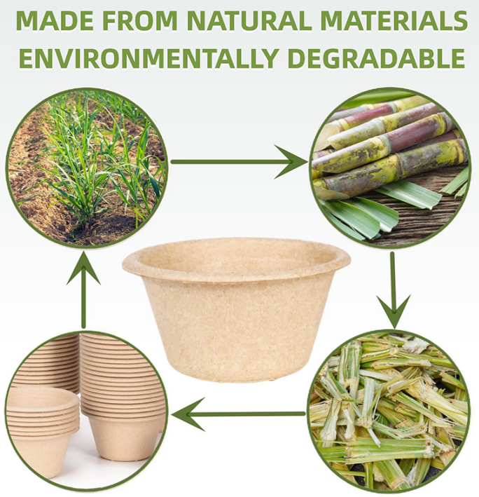 What makes bagasse biodegradable clamshells a sustainable choice?

