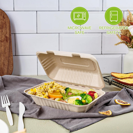 Can Disposable Bagasse Lunch Boxes Withstand Hot Foods?
