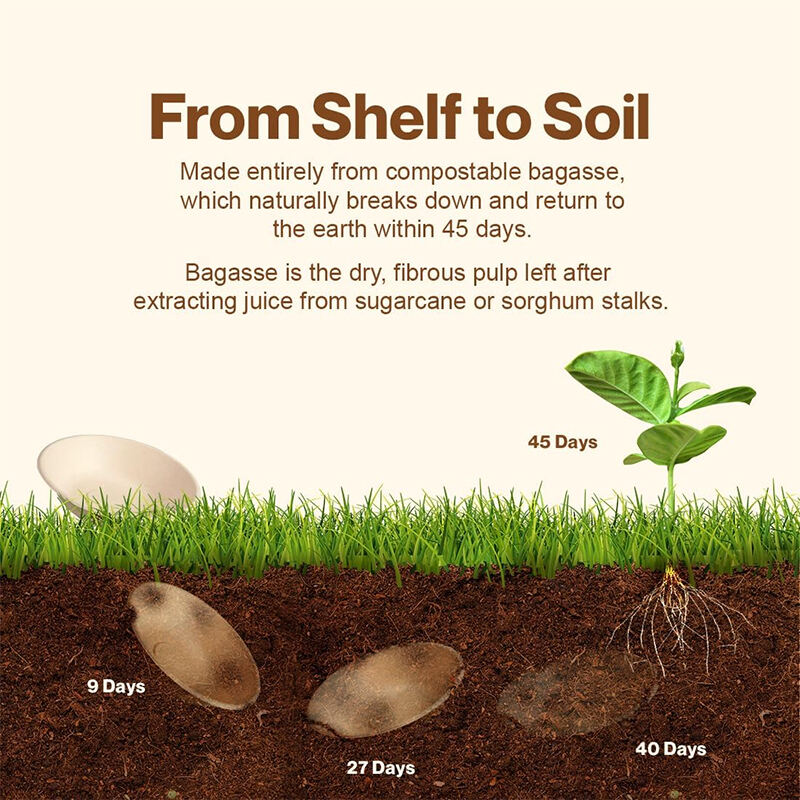 What Are the Standards for BRC Certified Biodegradable Dinnerware?