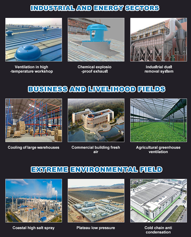 DWT Roof Fandwt factory