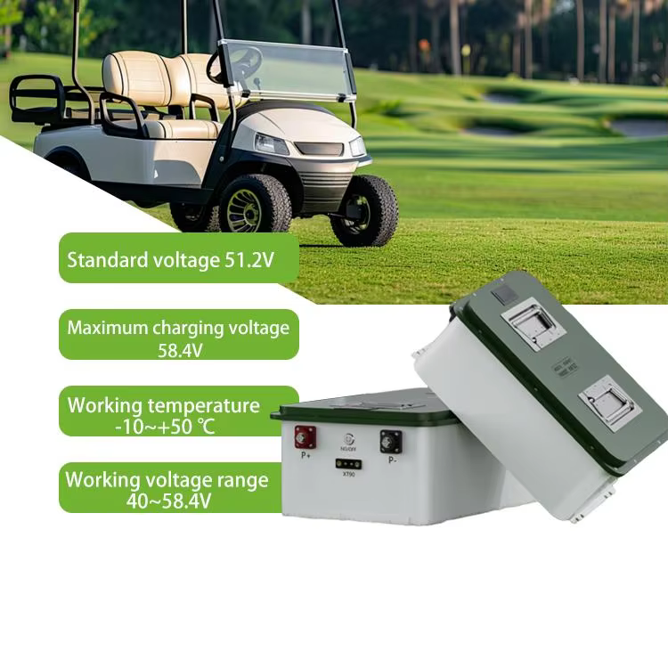 51.2V 60ah 100ah 3.07kWh-5.12kWh Cycle Life 6000+ Storage Golf Cart Battery Pack Compatible Multiple Types Product Lithium Ion