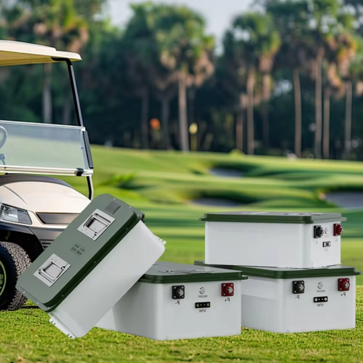 51.2V 60ah 100ah 3.07kWh-5.12kWh Cycle Life 6000+ Storage Golf Cart Battery Pack Compatible Multiple Types Product Lithium Ion