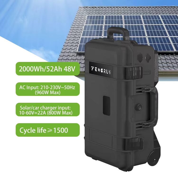 Maximizing Solar ROI: Pairing Your Panels with the Right Home ESS (Hint: Choose LFP!)