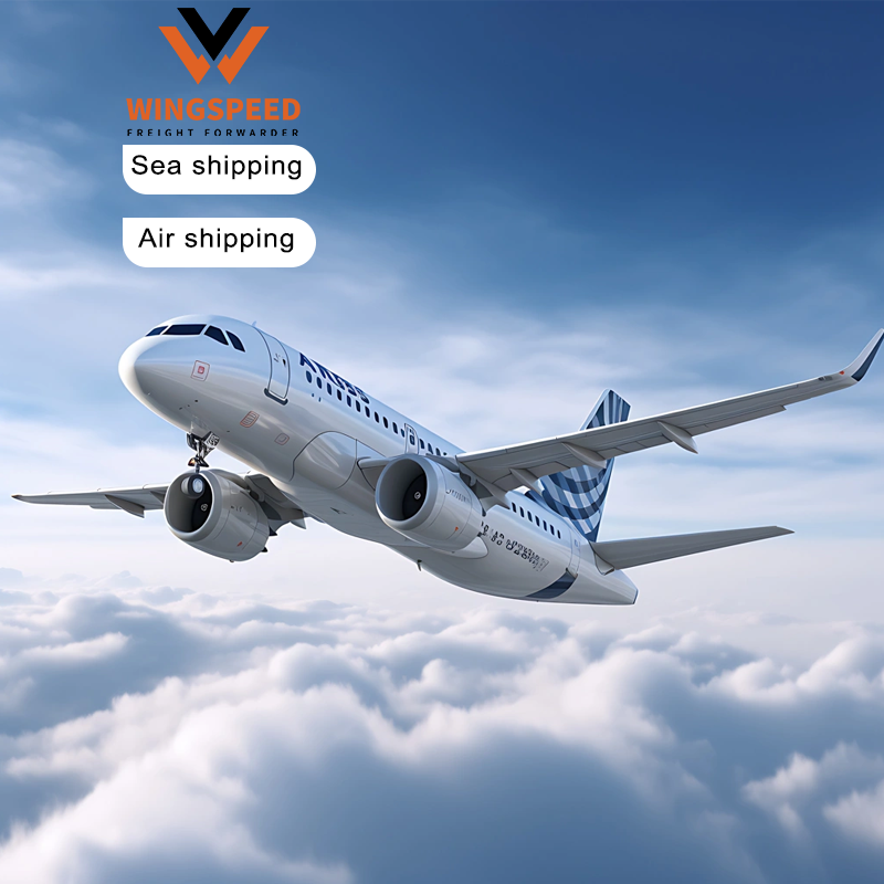 Air Freight Expertise by WINGSPEED