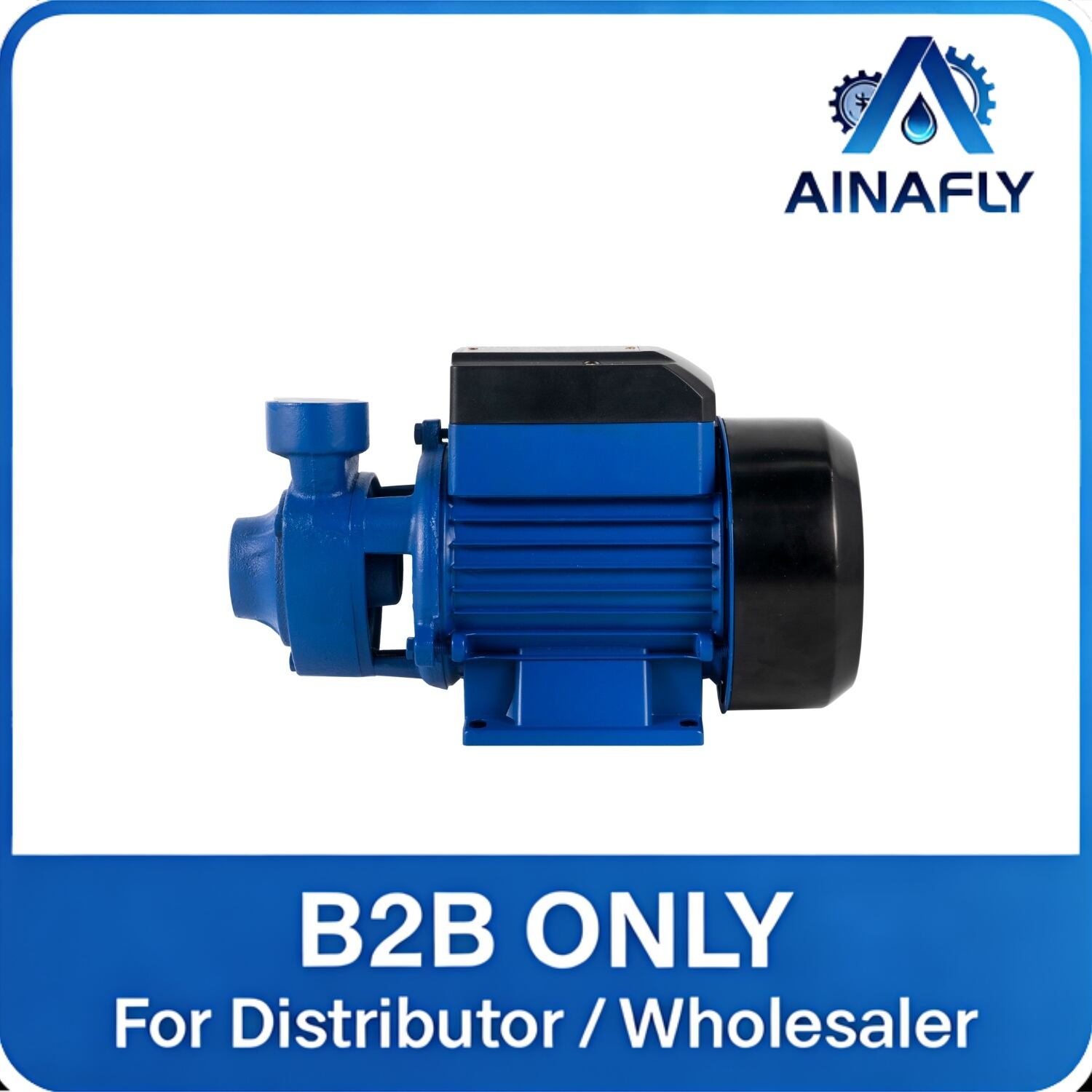 QB Series Peripheral Water Pump for Domestic Water Supply High Head Electric Booster Pump