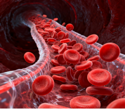 How Can Cardiovascular Drugs Reduce Heart Disease Risk?