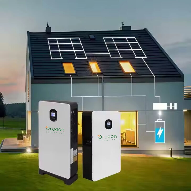 Der Aufstieg von Hausenergiespeichersystemen für ein nachhaltiges Leben