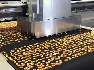 Imprimante jet d'encre à plat avec caméra pour une précision accrue
