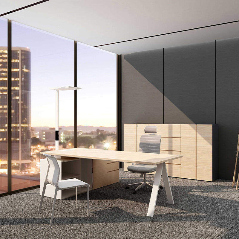 Gelişmiş Bağlantı ve Güç Entegrasyonu  