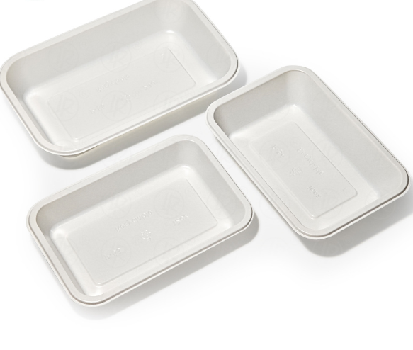 Ведущий экспортер полипропиленовых лотков для пищевых продуктов на мировые рынки