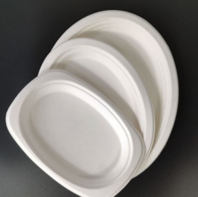  Eco-Friendly Sugarcane Waste Plates for Sustainable Packaging