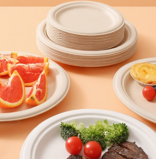 High-Quality Sugarcane Pulp Plates for Sustainable Packaging Solutions