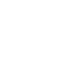 Quality Control and After-Sales