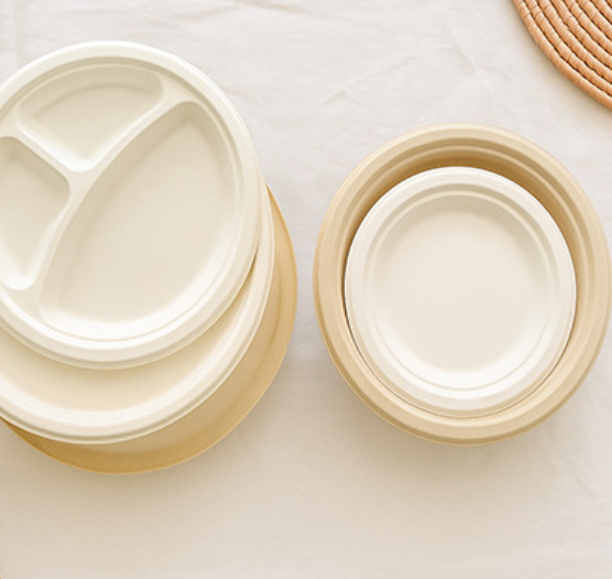 أطباق مصنوعة من قش القصب في عبوات صديقة للبيئة