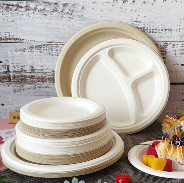  Eco-Friendly Sugarcane Plates for Sustainable Packaging Solutions
